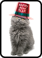 Happy New Year
