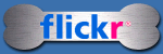 Flickr Photo Gallery