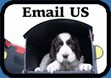 mailbox