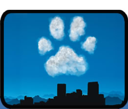 paw shaped cloud